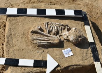 Ancient Egypt: Cemetery dating back to pre-dynastic era discovered