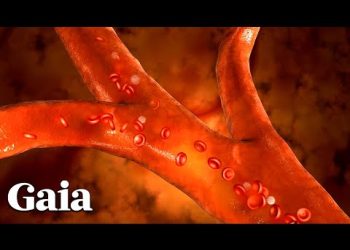 Techniques To BOOST Your Innate Immune System