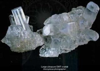 Terence McKenna – Culture is your operating system