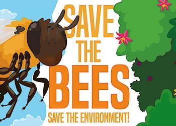 A Bee’s View of Buddha Dharma: “caring for bees” is a noble karmic act of the Pāramitā (Perfection) of Metta (loving kindness)
