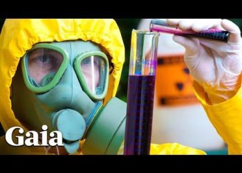 Are We Allergic to GMOs and Pesticides in our Food?