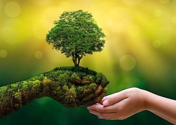 Green Tara’s nourishing, caring, mother-earth hands: honoring Tara of the Khadira Fragrant Forest on Earth Day and beyond