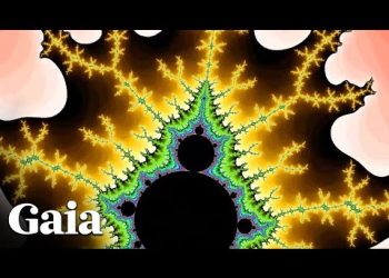 Everything in the UNIVERSE Consists of Fractal Patterns