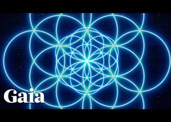 Feelings of INTERCONNECTEDNESS Reported During NDE’s