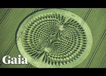 Man Describes SUPERNATURAL Experience In Crop Circle