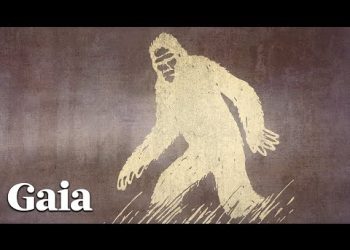 Tracking EVIDENCE of SASQUATCH