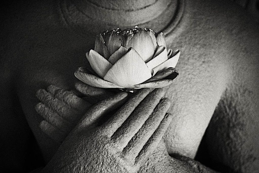 Chan Buddhism – the “Flower Sermon” and the profound roots of Chan or Zen — the open hearted path