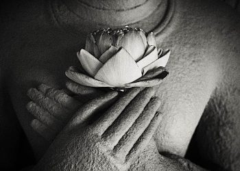 Chan Buddhism – the “Flower Sermon” and the profound roots of Chan or Zen — the open hearted path