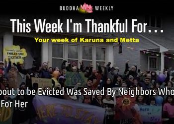 June 20, 2022: “This Week I’m Thankful For…”: Saga Dawa, H.H. Dalai Lama, neighbors who care, a cancer breakthrough, forests and fungi…
