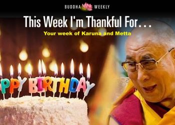 June 27, 2022: This Week I am Thankful For…”: heroic nurses who save babies, the long lives of our teachers and pigs at airports