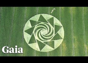 Researcher Has TELEPATHIC Connection to Makers of Crop Circles