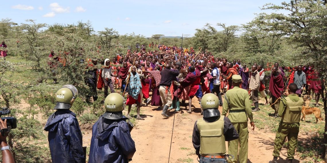 Thousands of Maasai Could be Removed From Their Land Over The Next Five Years