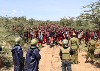 Thousands of Maasai Could be Removed From Their Land Over The Next Five Years