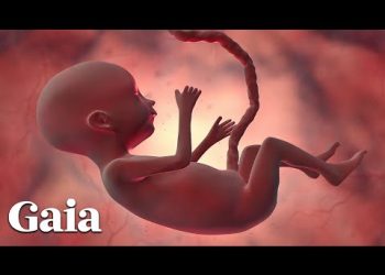 We Are Inoculated with Our Mother’s Microbiome at Birth