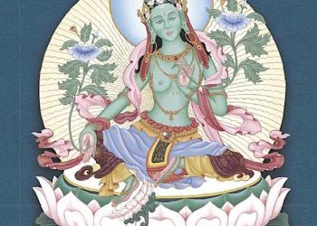 Book Review: Tasting the Essence of Tantra: Buddhist Meditation for Contemporary Western Life by Rob Preece — Highly Recommended