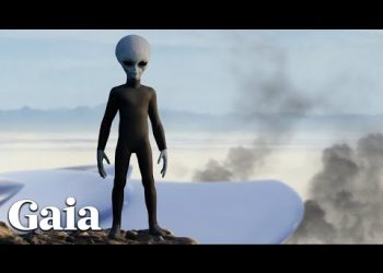 How it FEELS to be Face-to-Face with a GREY Extraterrestrial