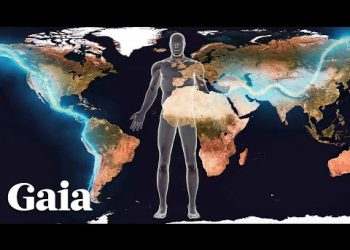 The Earth's Continents Correlate With Our Chakras and Organs
