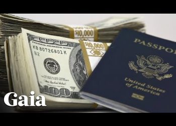 Was America Established as a Federal Corporation?