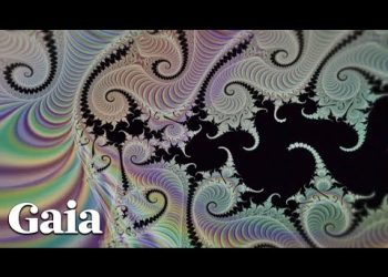 How to Use a Fractal Time Calculator to HEAL Your Life