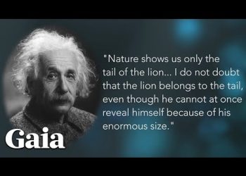 This Experiment BROKE the RULES of Einstein's Relativity