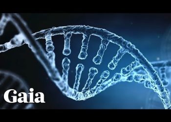 The Human Genome Project Patented Our Genes