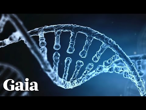 The Human Genome Project Patented Our Genes