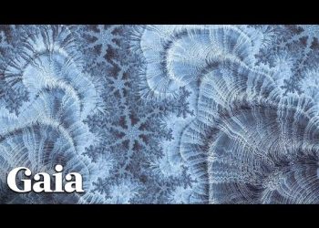 Music Dramatically CHANGES Structure of Water