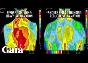 This is How EARTHING Reduces INFLAMMATION in the Body