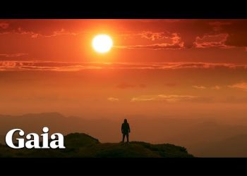 This is How SUNLIGHT Supports our Physical HEALTH