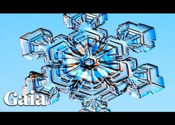 Water Is ALIVE & RESPONDS to Human Emotion