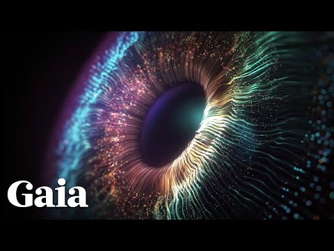 Is the Universe CONNECTED at ALL Levels?