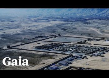 Was Elon Musk Read Into the SECRET MJ-12 Documents?