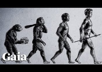 Bruce Lipton DEBUNKS Evolutionary Myths