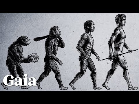 Bruce Lipton DEBUNKS Evolutionary Myths