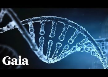 This is the True Purpose of "JUNK DNA"