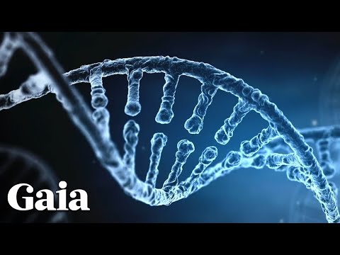 This is the True Purpose of "JUNK DNA"