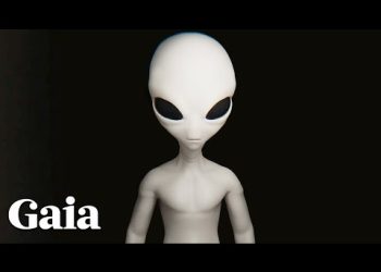 How Can We Understand Higher Levels of NON-HUMAN Consciousness?