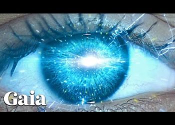 The Universal Language of Consciousness