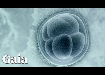 ENVIRONMENT Controls Behavior and Genes via the Nervous System