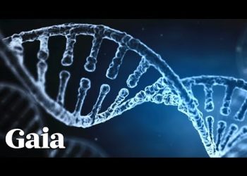 How Consciousness Influences Our DNA and Evolution