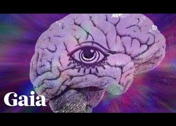 Is CONSCIOUSNESS Created from the Brain?