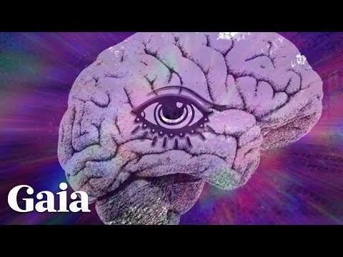 Is CONSCIOUSNESS Created from the Brain?