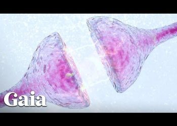 We DON'T Have to be VICTIMS of Our Genes or Environment