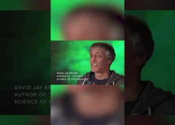 Psychedelics as Messengers of Ecological Awareness