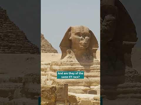 What's Inside the Sphinx?