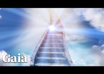 A Neurosurgeon's Journey into the Afterlife