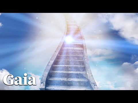 A Neurosurgeon's Journey into the Afterlife