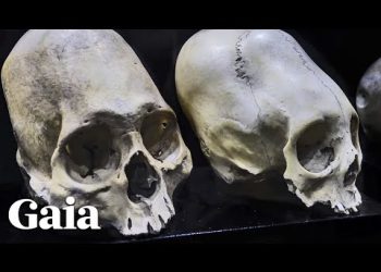 This Was Revered in Ancient MAYAN Culture