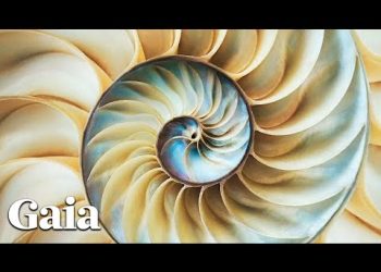 The Universal Language of Mathematics and Music