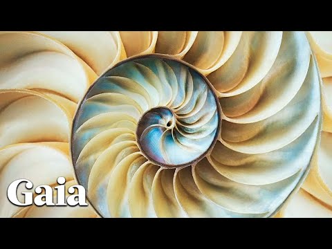 The Universal Language of Mathematics and Music